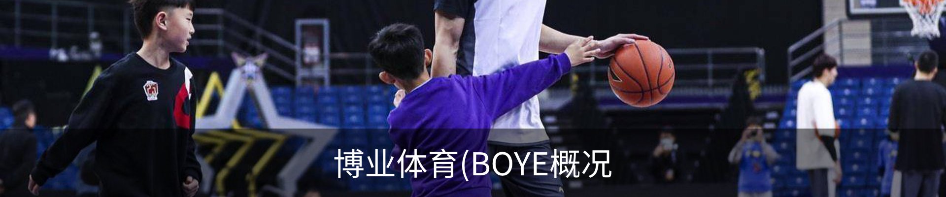 博业体育(BOYE概况